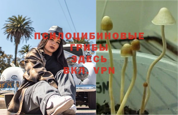 a pvp Алексин