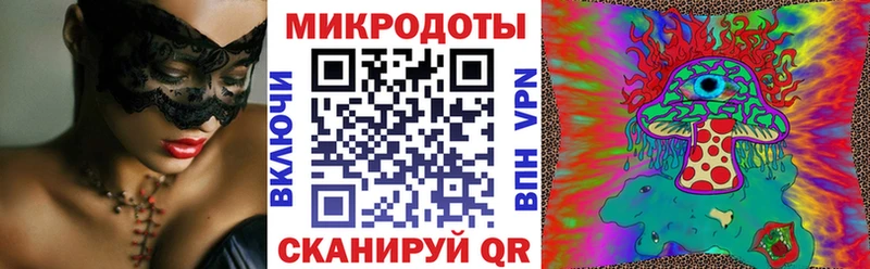 Псилоцибиновые грибы Cubensis Бахчисарай